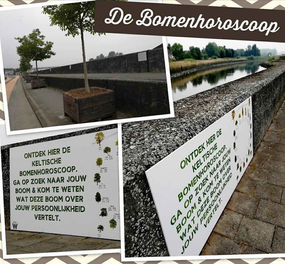 Bomenhoroscoop