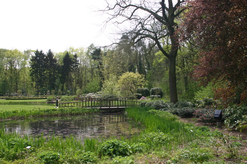 Bomen en vijver in domein Den Blakken