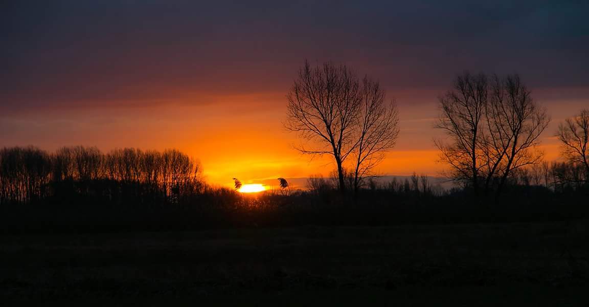 Sunrise