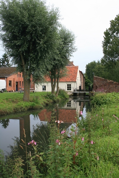 De Van Hauwermeirsmolen in het groen